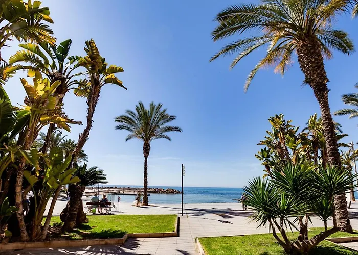 Caballero * Torrevieja